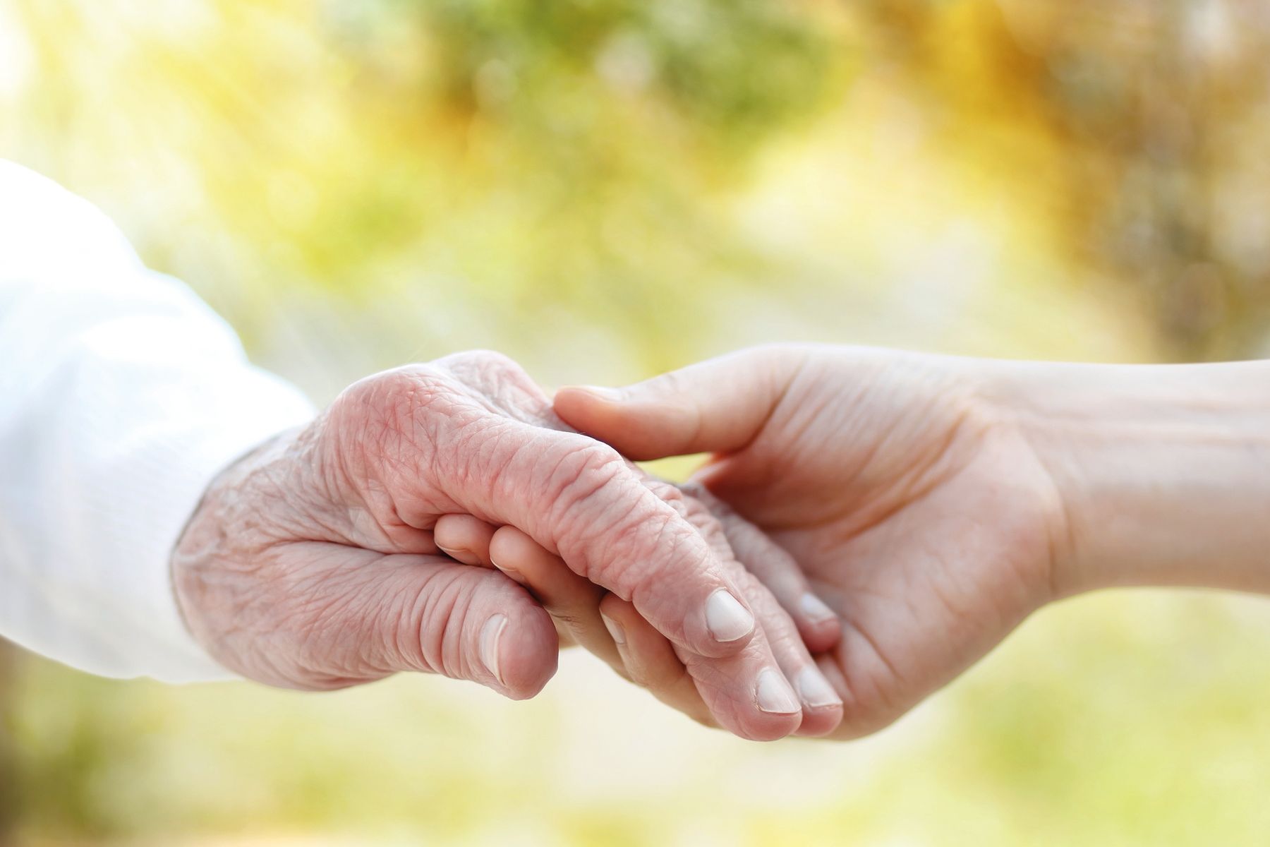 Auf gemeinsamen Pfaden