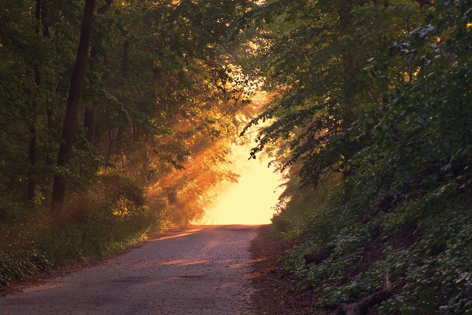 Lebensgestaltung und Spiritualität