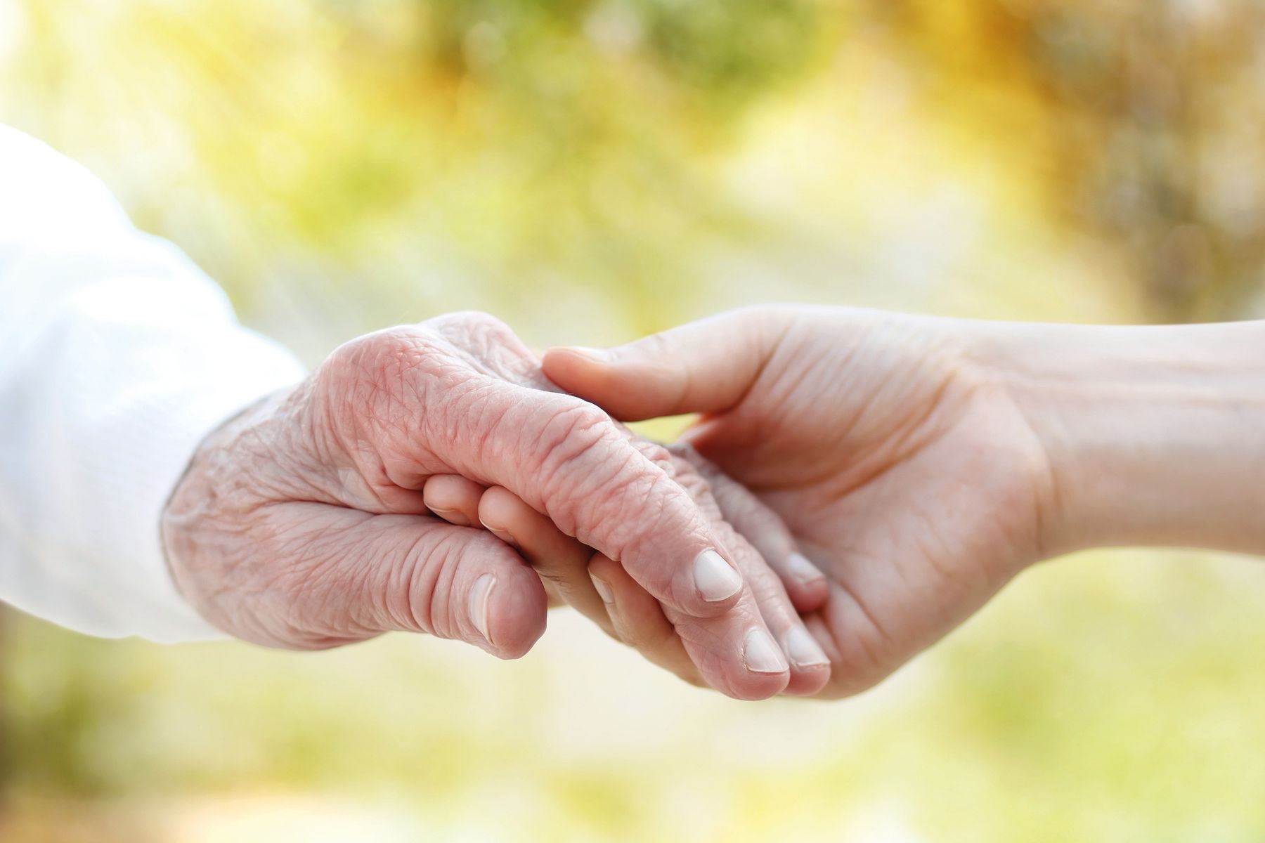 Kooperation mit dem Bildungsforum Sankt Michael