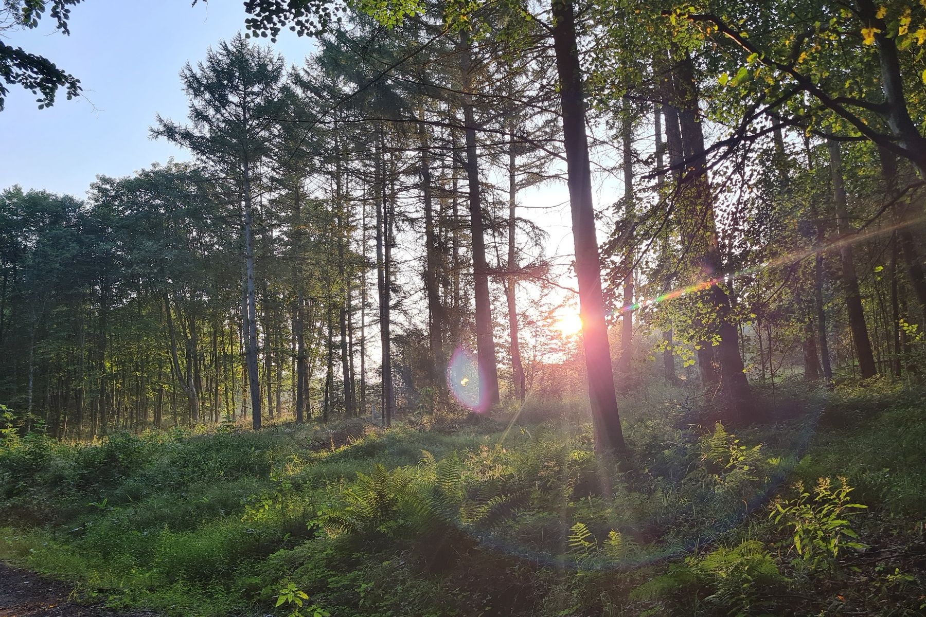 Auf gemeinsamen Pfaden